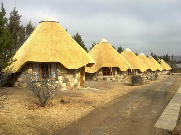 Zebra Thatch | Premium Thatching Services South Africa | Expert Thatch ...